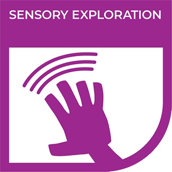 Sensory Exploration