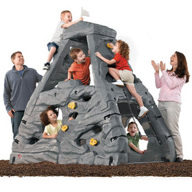 Skyward Summit Climber