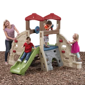 Alpine Ridge Climber and Slide